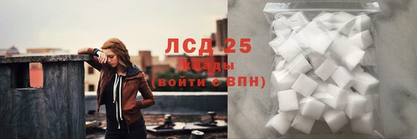 ГАЛЛЮЦИНОГЕННЫЕ ГРИБЫ Осташков