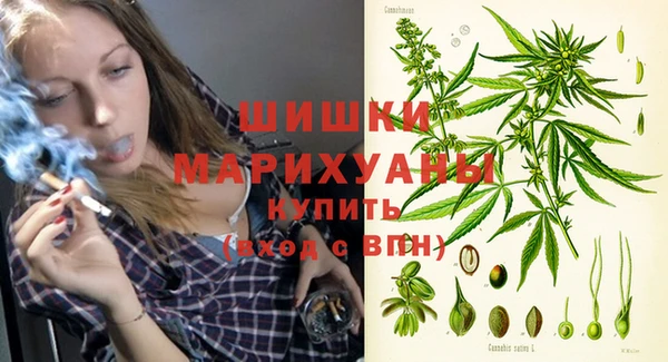 ALPHA PVP Осинники
