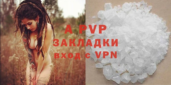 ГАЛЛЮЦИНОГЕННЫЕ ГРИБЫ Осташков